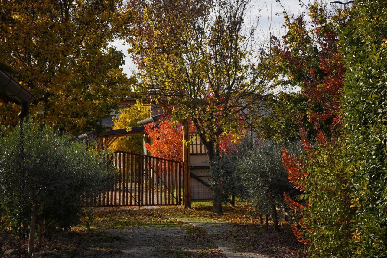 Agriturismo Corte Benetti Rovigo Ngoại thất bức ảnh