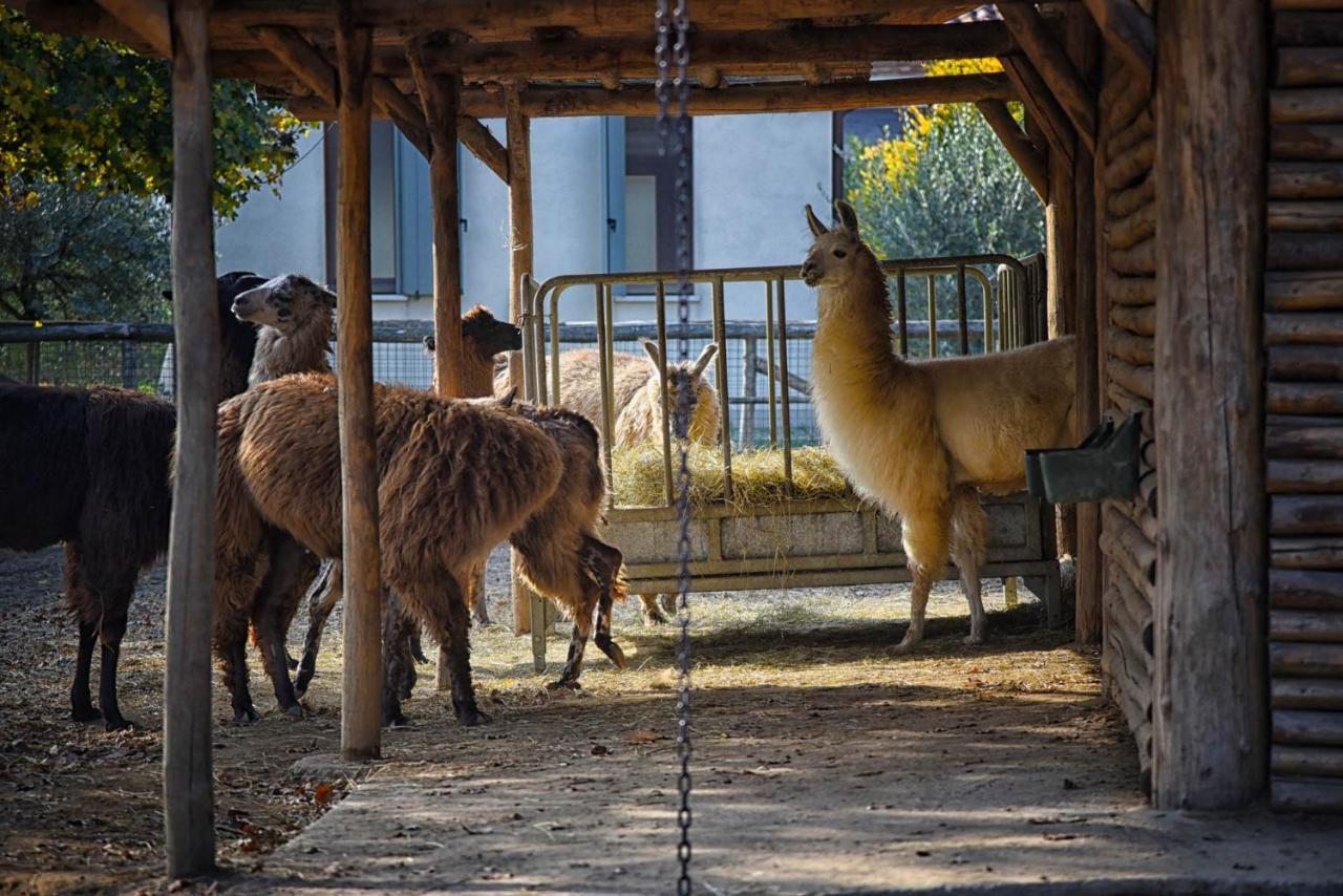 Agriturismo Corte Benetti Rovigo Ngoại thất bức ảnh