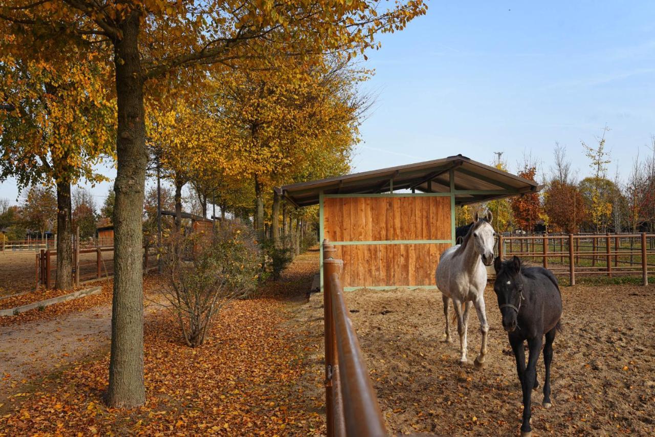 Agriturismo Corte Benetti Rovigo Ngoại thất bức ảnh