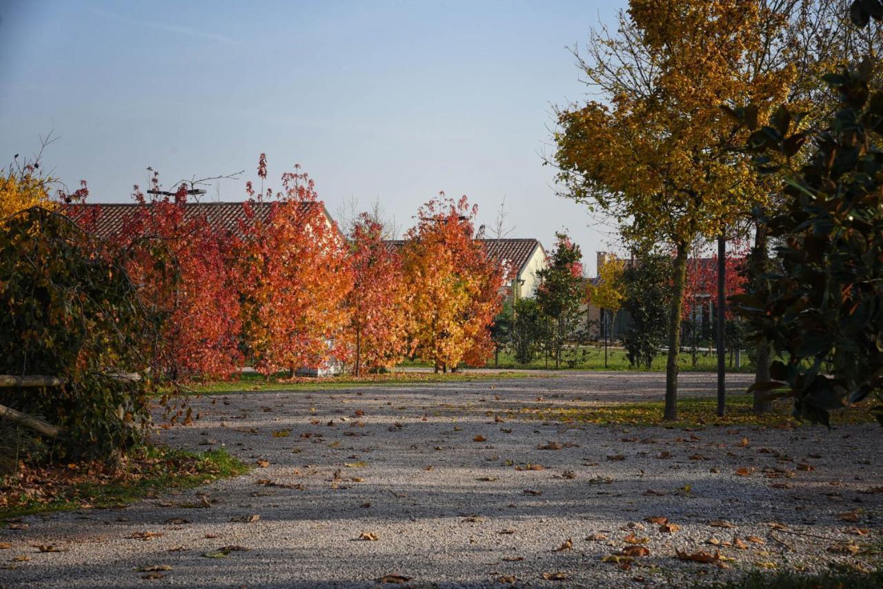 Agriturismo Corte Benetti Rovigo Ngoại thất bức ảnh