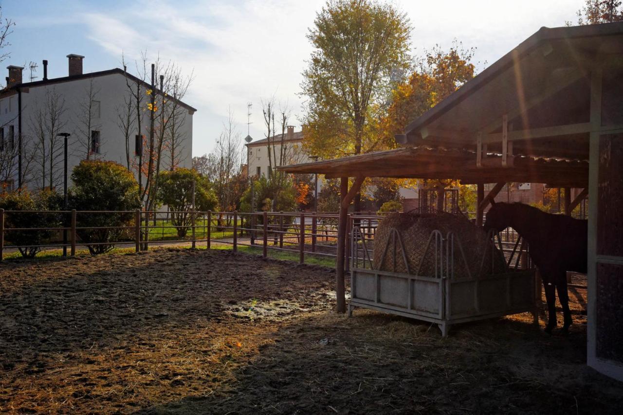 Agriturismo Corte Benetti Rovigo Ngoại thất bức ảnh